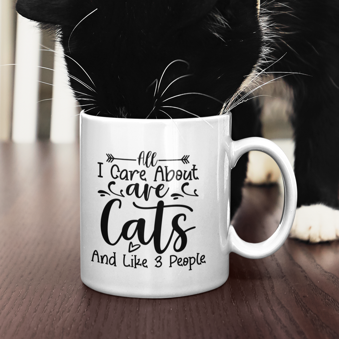 All I Care About Are Cats And Like 3 People Mug